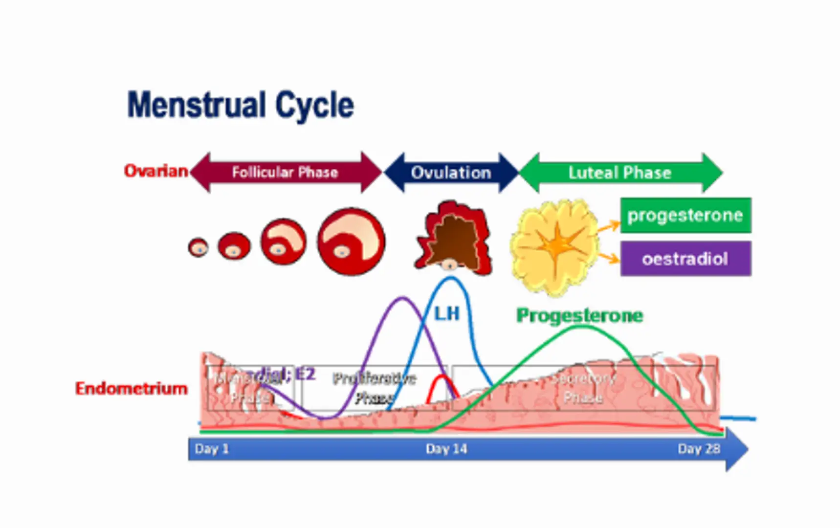 693237ffd5ff0598f237f297